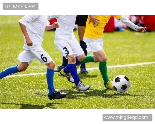 足球学校招生迎来热潮 报名人数再创新高引发社会广泛关注