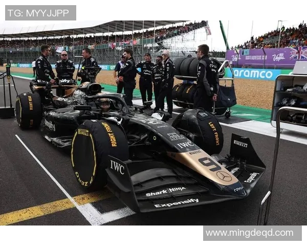 F1赛车赛季气象条件变化对比赛成绩与车队整体表现的影响研究