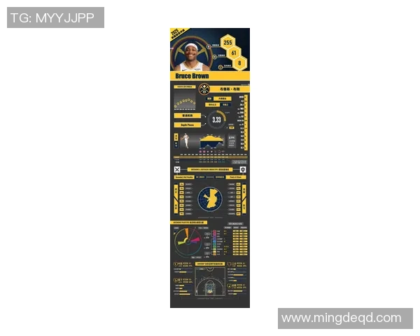 NBA新秀赛季表现分析与未来潜力深度评估