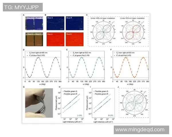 太阳评分揭晓：表现优异还是遭遇瓶颈引发热议